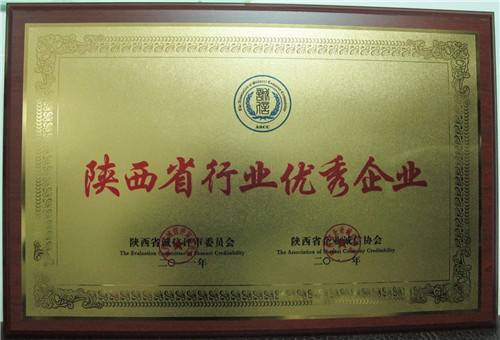 陜西輕重鋼結構廠——陜西省行業(yè)優(yōu)秀企業(yè)